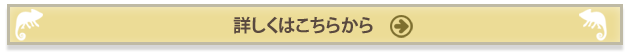 詳しくはこちらから
